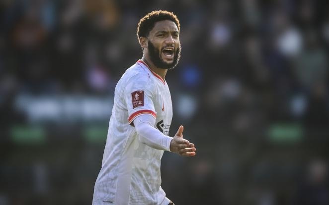 了延续统治 了延续统治