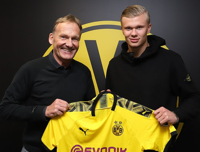 的典型量级 的典型量级